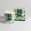 Vela Perfumada Phebo Folhas de Menta 780g Aromática