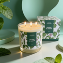 Vela Perfumada Phebo Folhas de Menta 780g Aromática